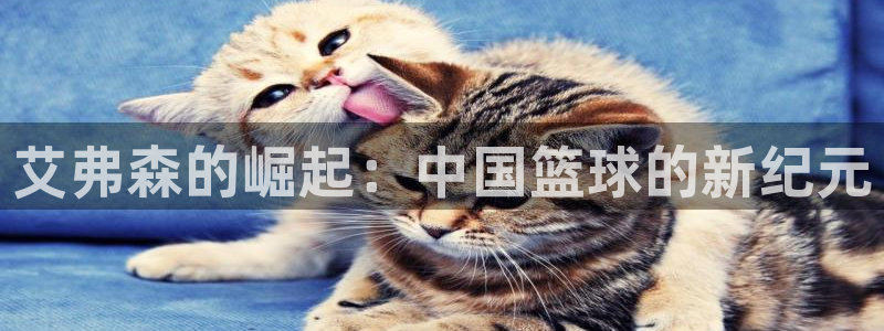 万向娱乐体育游戏：艾弗森的崛起：中国篮球的新纪元