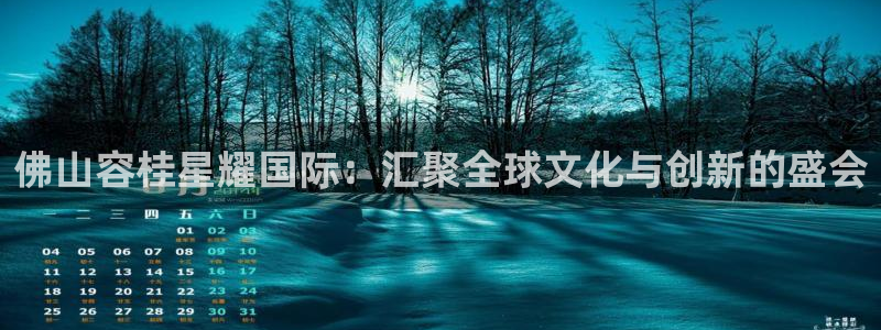 万向娱乐4官网：佛山容桂星耀国际：汇聚全球文化与创新的盛会