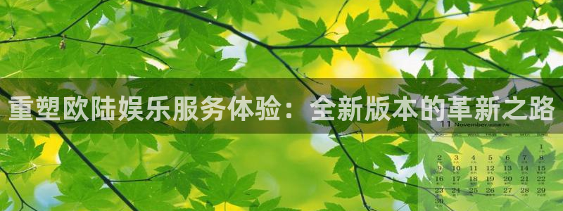 万向娱乐体育热门赛事有哪些：重塑欧陆娱乐服务体验：全新版本的革新之路