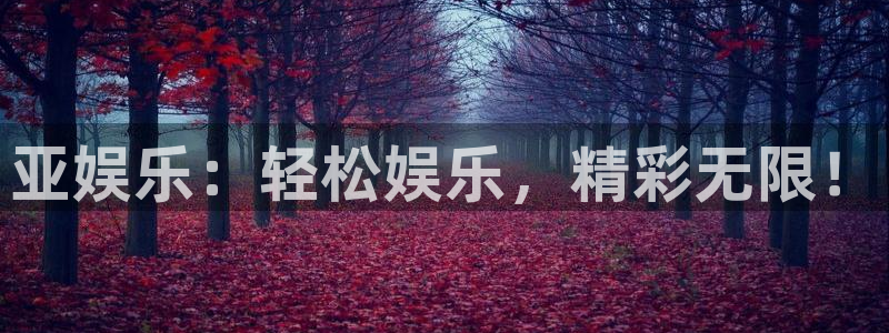 万向娱乐4平台注册：亚娱乐：轻松娱乐，精彩无限！