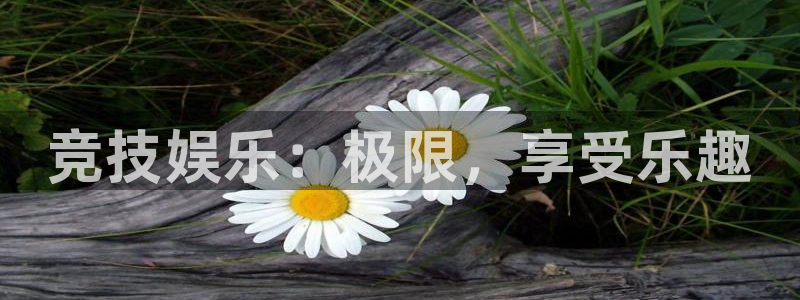 万向娱乐代理注册官网入口：竞技娱乐：极限，享受乐趣