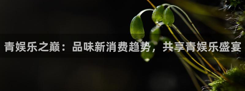 万向娱乐3注册：青娱乐之巅：品味新消费趋势，共享青娱乐盛宴