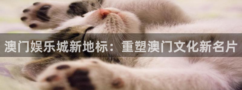 万向娱乐能源：澳门娱乐城新地标：重塑澳门文化新名片