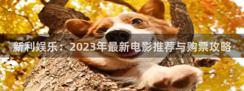 万向娱乐5：新利娱乐：2023年最新电影推荐与购票攻略