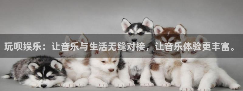 万向娱乐3官网：玩呗娱乐：让音乐与生活无缝对接，让音乐体验更丰富。