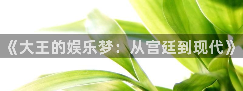 万向娱乐平台：《大王的娱乐梦：从宫廷到现代》