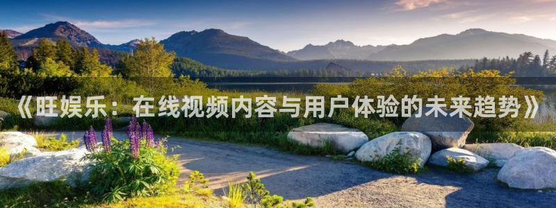 万向娱乐2注册：《旺娱乐：在线视频内容与用户体验的未来趋势》