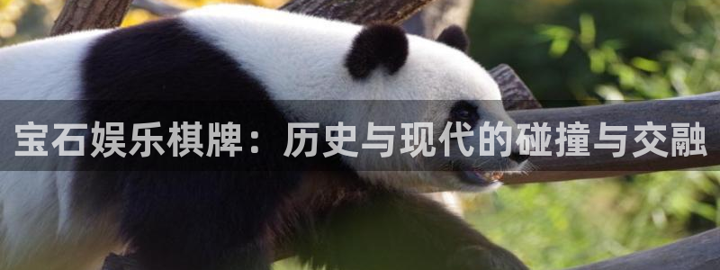 万向娱乐体育平台注册：宝石娱乐棋牌：历史与现代的碰撞与交融