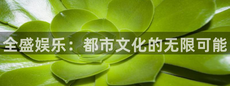 万向娱乐体育官网入口登录：全盛娱乐：都市文化的无限可能