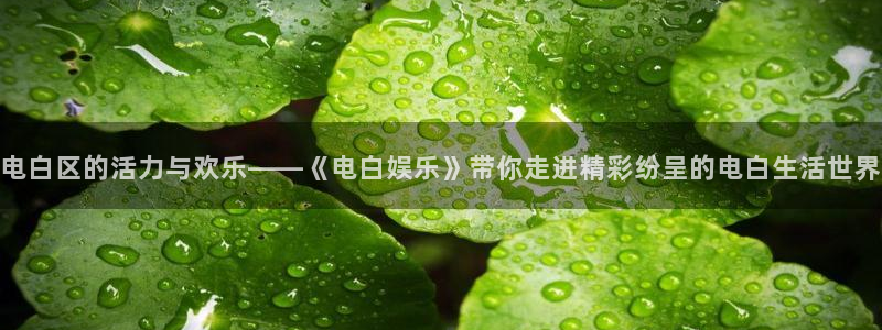万向娱乐3平台登录注册：电白区的活力与欢乐——《电白娱乐》带你走进精彩纷呈的电白