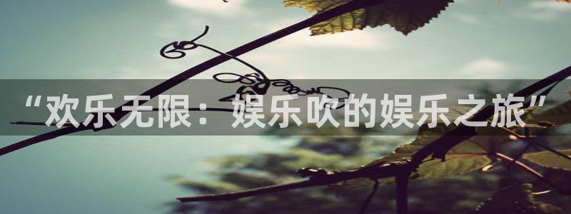 万向娱乐主管：“欢乐无限：娱乐吹的娱乐之旅”
