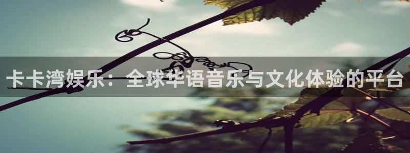 万向娱乐股份：卡卡湾娱乐：全球华语音乐与文化体验的平台