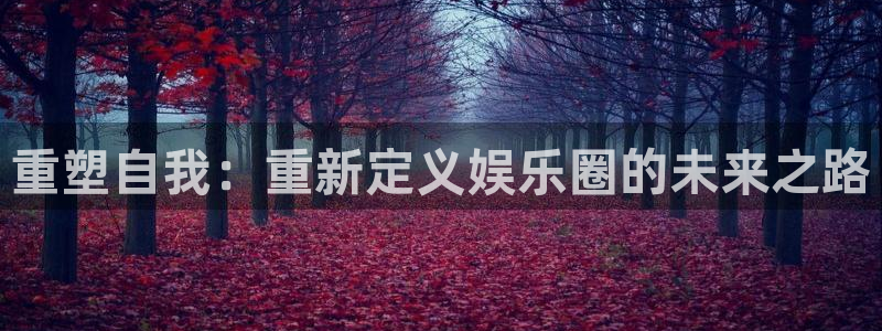 万向娱乐3登陆：重塑自我：重新定义娱乐圈的未来之路