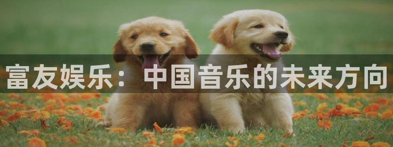 万向娱乐平台：富友娱乐：中国音乐的未来方向