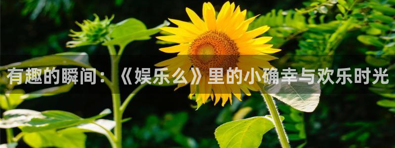 万向娱乐4平台注册：有趣的瞬间：《娱乐么》里的小确幸与欢乐时光