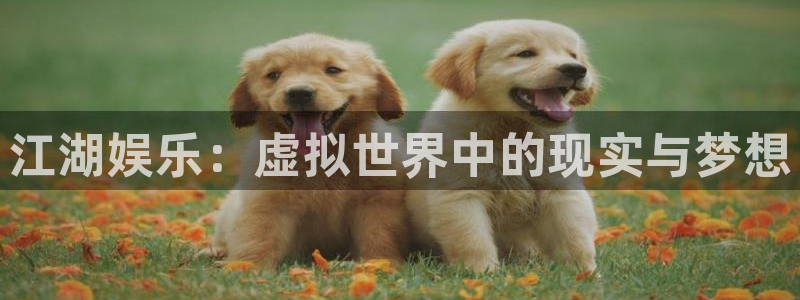 万向娱乐体育代理申请流程：江湖娱乐：虚拟世界中的现实与梦想
