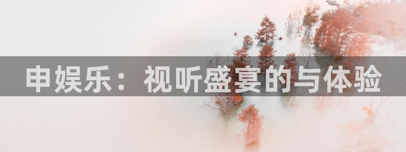 万向娱乐主管：申娱乐：视听盛宴的与体验