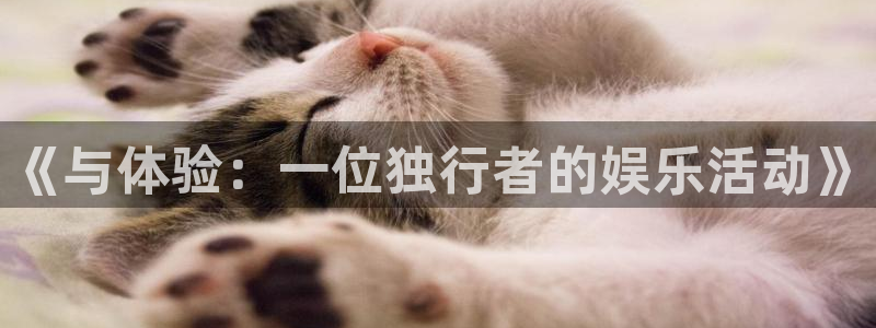 万向娱乐体育平台开号链接：《与体验：一位独行者的娱乐活动》