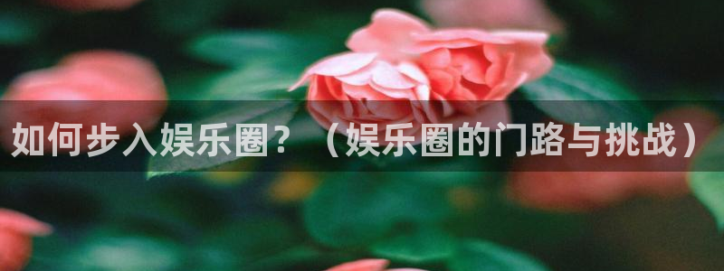 万向娱乐2平台登录：如何步入娱乐圈？（娱乐圈的门路与挑战）