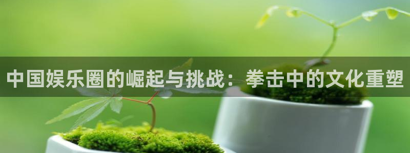 万向娱乐4官网：中国娱乐圈的崛起与挑战：拳击中的文化重塑