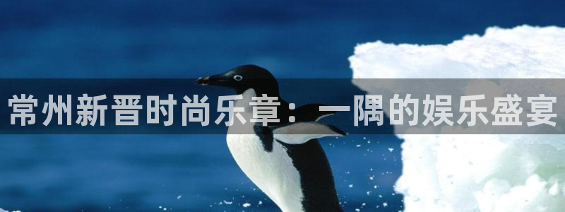 万向娱乐平台招商：常州新晋时尚乐章：一隅的娱乐盛宴