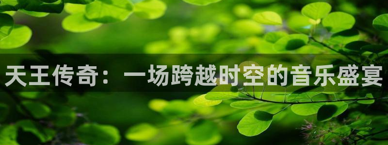 万向娱乐体育3：天王传奇：一场跨越时空的音乐盛宴