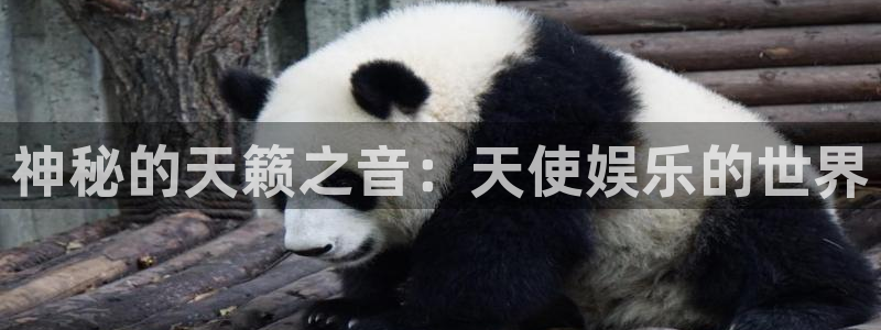 www.万向娱乐体育.com：神秘的天籁之音：天使娱乐的世界