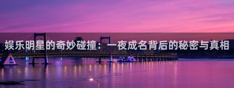 万向娱乐体育：娱乐明星的奇妙碰撞：一夜成名背后的秘密与真相