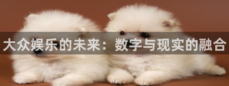 万向娱乐体育：大众娱乐的未来：数字与现实的融合