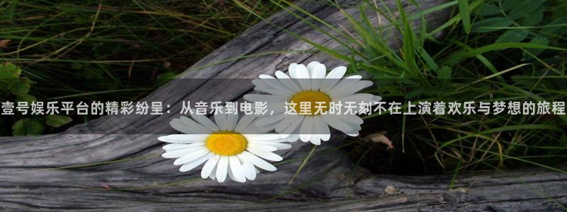 万向娱乐体育平台开号链接：壹号娱乐平台的精彩纷呈：从音乐到电影，这里无时无刻不在