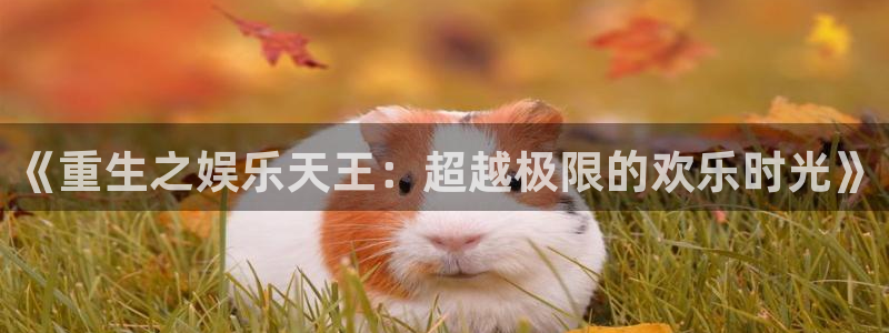 万向娱乐凯捷平台注册链接：《重生之娱乐天王：超越极限的欢乐时光》