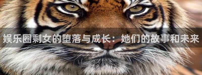 万向娱乐平台：娱乐圈剩女的堕落与成长：她们的故事和未来