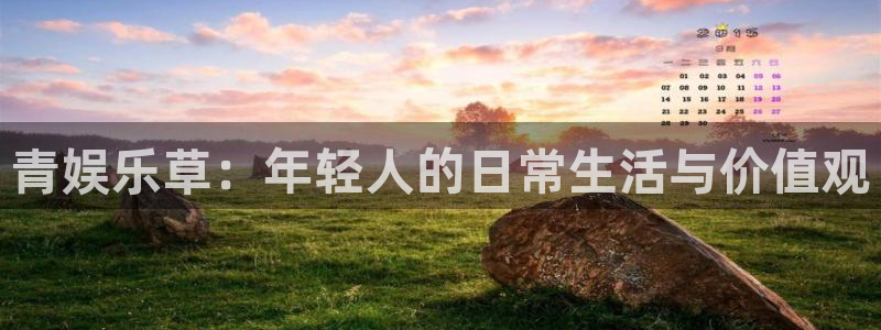 万向娱乐体育凯捷平台代理：青娱乐草：年轻人的日常生活与价值观
